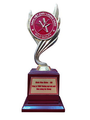 V. Thành tựu của công ty
